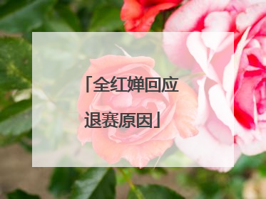 全红婵回应退赛原因