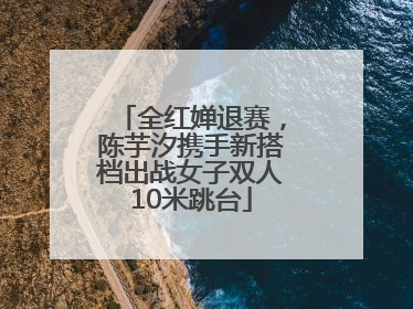 全红婵退赛，陈芋汐携手新搭档出战女子双人10米跳台