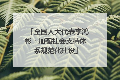 全国人大代表李鸿彬：加强社会支持体系规范化建设
