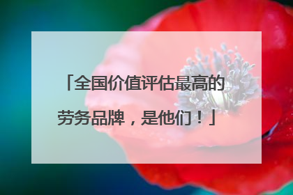 全国价值评估最高的劳务品牌，是他们！
