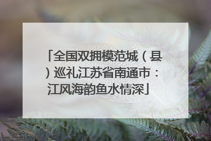 全国双拥模范城（县）巡礼江苏省南通市：江风海韵鱼水情深
