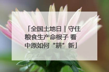 全国土地日｜守住粮食生产命根子 看中原如何“耕”新