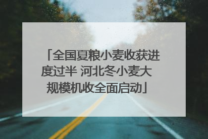 全国夏粮小麦收获进度过半 河北冬小麦大规模机收全面启动