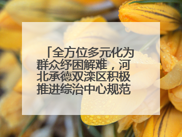 全方位多元化为群众纾困解难，河北承德双滦区积极推进综治中心规范化建设