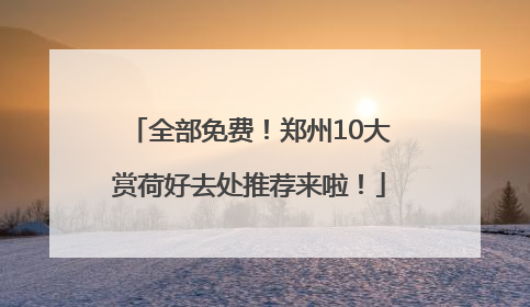全部免费！郑州10大赏荷好去处推荐来啦！
