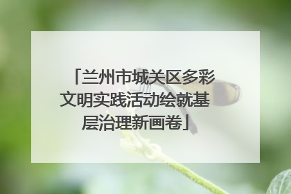 兰州市城关区多彩文明实践活动绘就基层治理新画卷