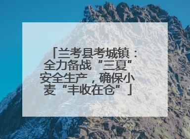 兰考县考城镇：全力备战“三夏”安全生产，确保小麦“丰收在仓”