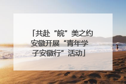 共赴“皖”美之约 安徽开展“青年学子安徽行”活动