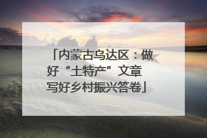 内蒙古乌达区：做好“土特产”文章 写好乡村振兴答卷