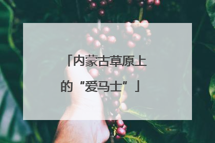 内蒙古草原上的“爱马士”