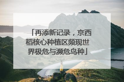 再添新记录，京西稻核心种植区频现世界极危与濒危鸟种