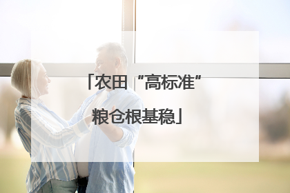 农田“高标准” 粮仓根基稳