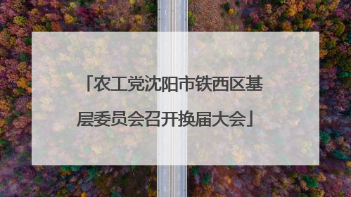 农工党沈阳市铁西区基层委员会召开换届大会
