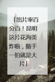 出片率百分百！昆明这片花海美炸啦，随手一拍就是大片
