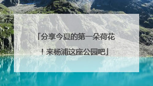 分享今夏的第一朵荷花！来杨浦这座公园吧