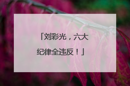 刘彩光，六大纪律全违反！