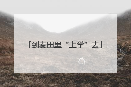到麦田里“上学”去