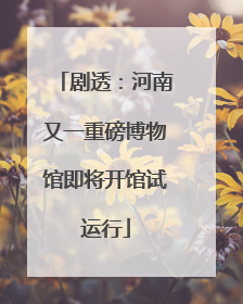 剧透：河南又一重磅博物馆即将开馆试运行