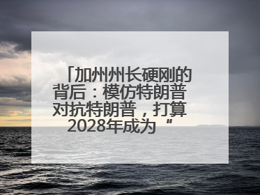 加州州长硬刚的背后：模仿特朗普对抗特朗普，打算2028年成为“特朗普”