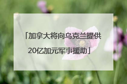 加拿大将向乌克兰提供20亿加元军事援助