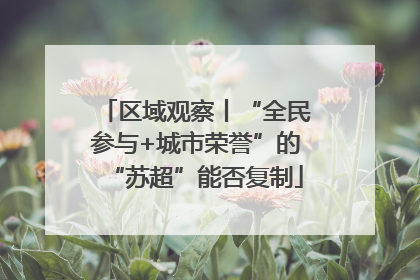 区域观察丨“全民参与+城市荣誉”的“苏超”能否复制