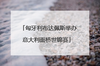 匈牙利布达佩斯举办意大利面桥世锦赛