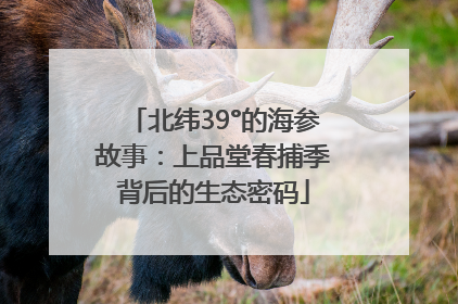 北纬39°的海参故事：上品堂春捕季背后的生态密码