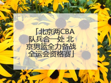 北京两CBA队兵合一处 北京男篮全力备战全运会资格赛