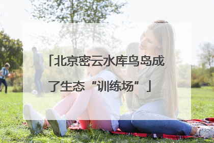 北京密云水库鸟岛成了生态“训练场”