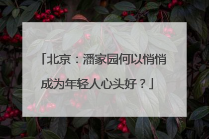北京：潘家园何以悄悄成为年轻人心头好？