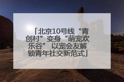 北京10号线“青创村”变身“萌宠欢乐谷” 以宠会友解锁青年社交新范式