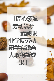 匠心领航 劳动筑梦——武威职业学院劳动研学实践育人取得新成果