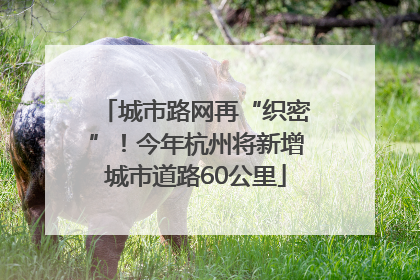城市路网再“织密”！今年杭州将新增城市道路60公里
