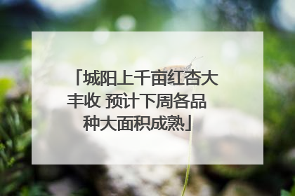 城阳上千亩红杏大丰收 预计下周各品种大面积成熟