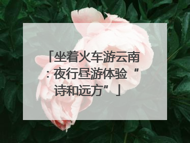 坐着火车游云南：夜行昼游体验“诗和远方”