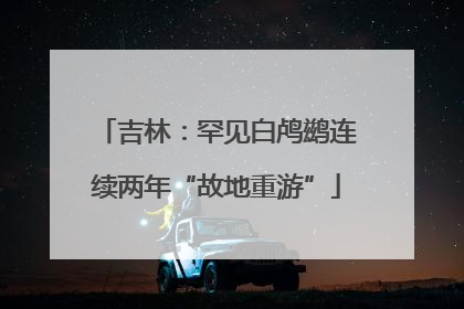 吉林：罕见白鸬鹚连续两年“故地重游”
