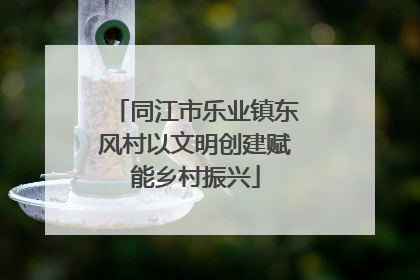 同江市乐业镇东风村以文明创建赋能乡村振兴