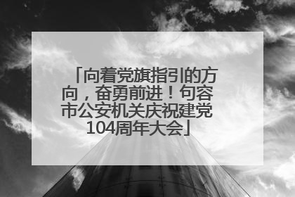 向着党旗指引的方向，奋勇前进！句容市公安机关庆祝建党104周年大会