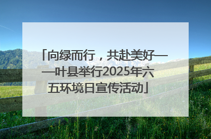 向绿而行，共赴美好——叶县举行2025年六五环境日宣传活动