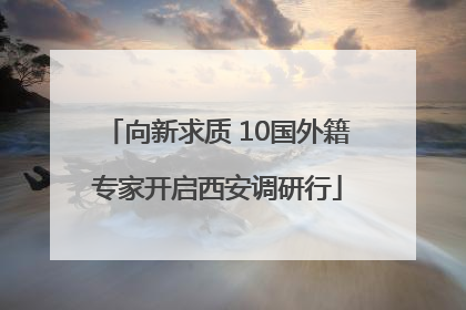 向新求质 10国外籍专家开启西安调研行