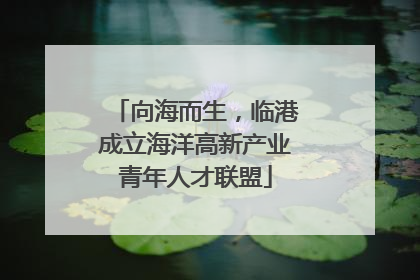 向海而生，临港成立海洋高新产业青年人才联盟