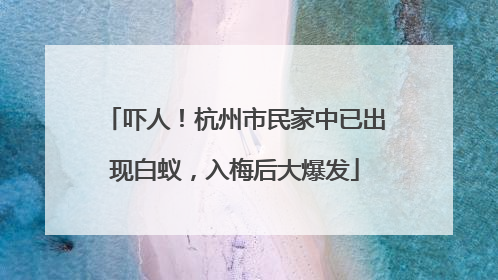 吓人！杭州市民家中已出现白蚁，入梅后大爆发