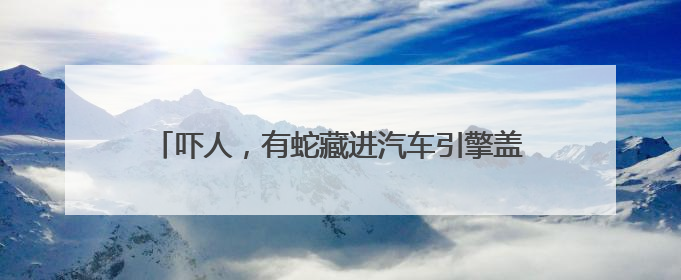 吓人，有蛇藏进汽车引擎盖！北京9天接9起“蛇警”