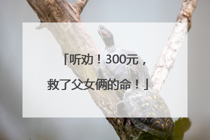 听劝！300元，救了父女俩的命！