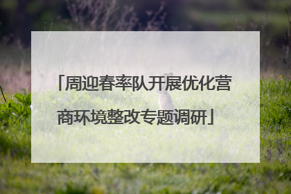 周迎春率队开展优化营商环境整改专题调研