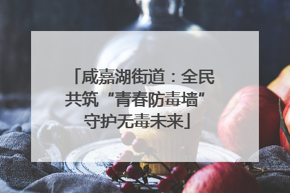 咸嘉湖街道：全民共筑“青春防毒墙” 守护无毒未来