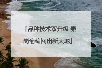 品种技术双升级 秦岗葡萄闯出新天地