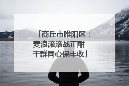 商丘市睢阳区：麦浪滚滚战正酣 干群同心保丰收