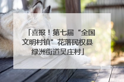 喜报！第七届“全国文明村镇”花落民权县绿洲街道吴庄村