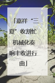 嘉祥“三夏”收割忙 机械化奏响丰收进行曲